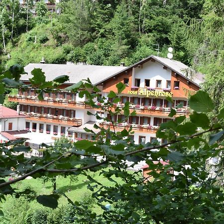 Hotel Alpenrose Alleghe Esterno foto