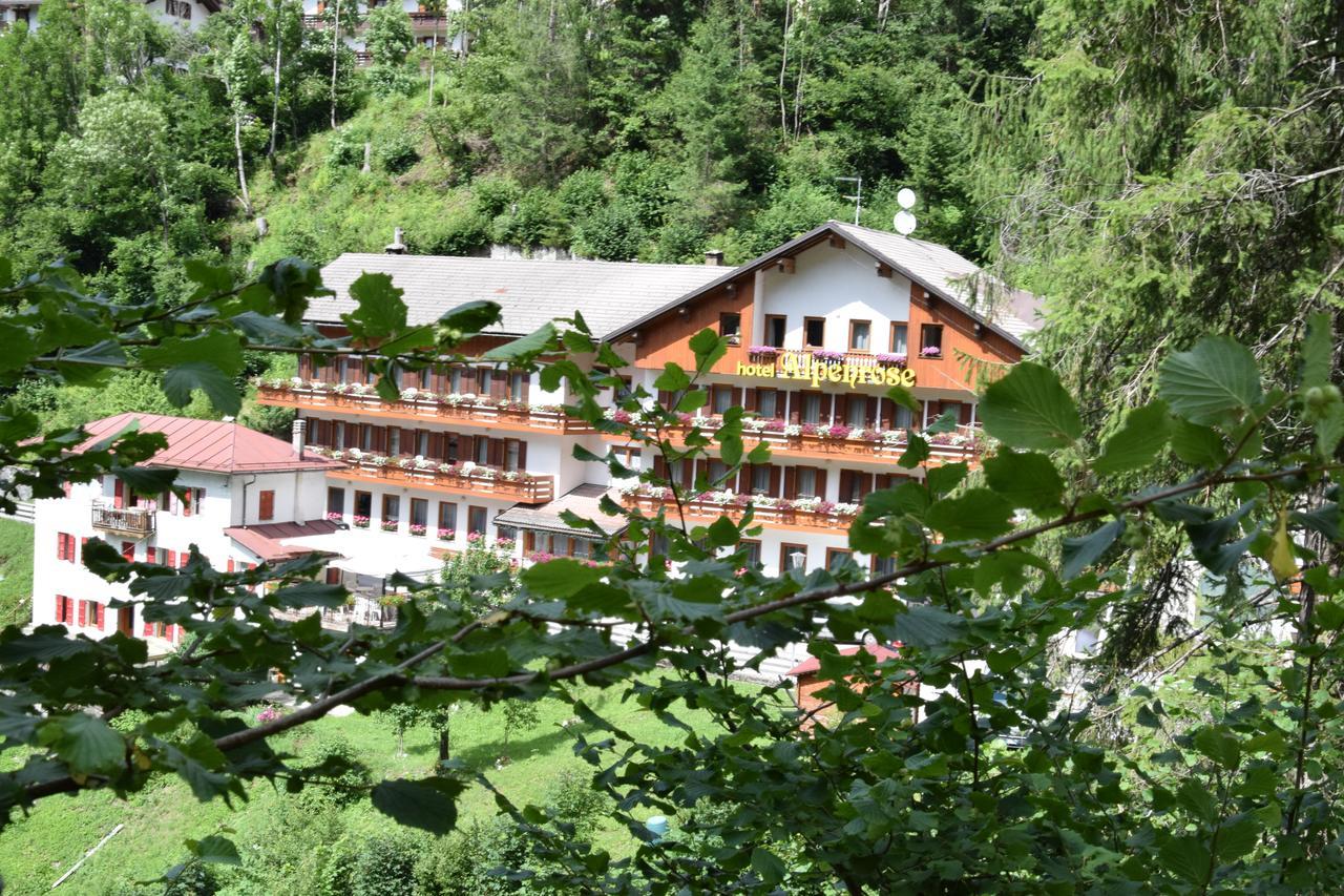 Hotel Alpenrose Alleghe Esterno foto